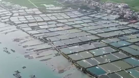 海建股份公司承建萬寧市退養(yǎng)還灘 與紅樹林生態(tài)保護(hù)修復(fù)工程修復(fù)生態(tài)效果顯著 接受海南新聞媒體采訪